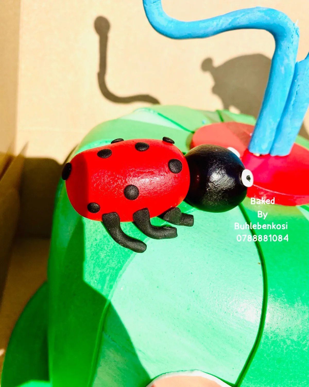 Ladybird Garden Cake by Baked by Buhlenkosi